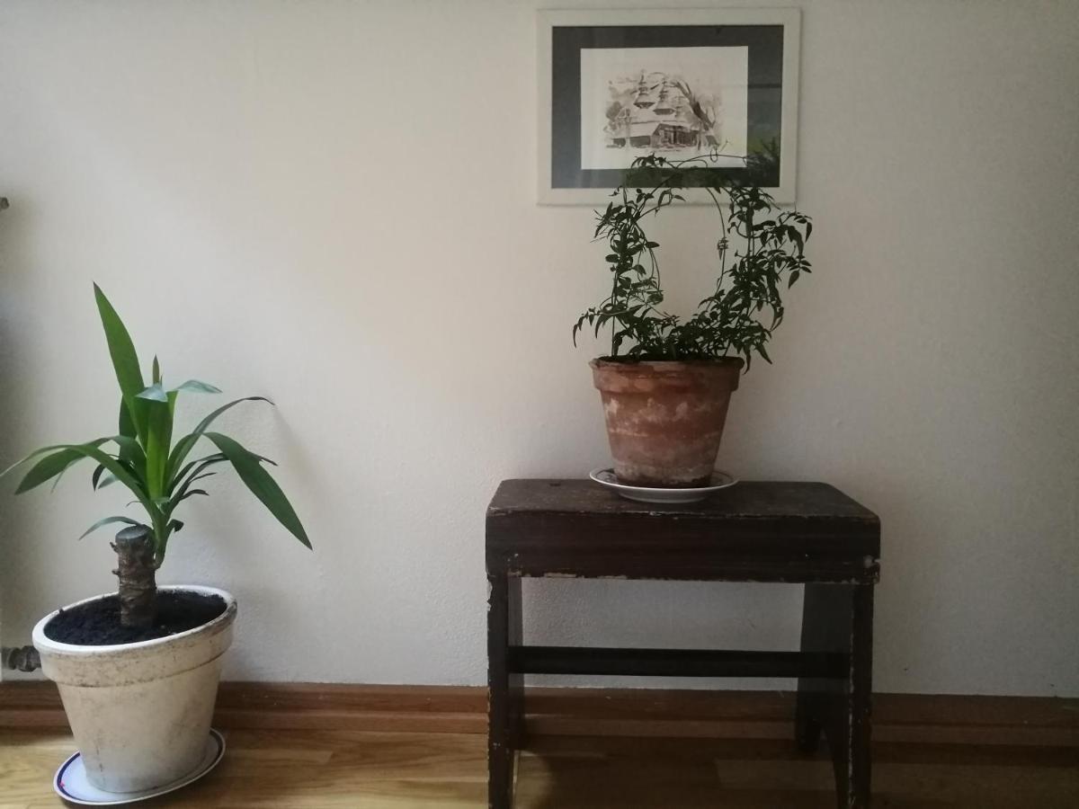Green Vagon, Farm B&B Rooms For Rent Hjorring ภายนอก รูปภาพ